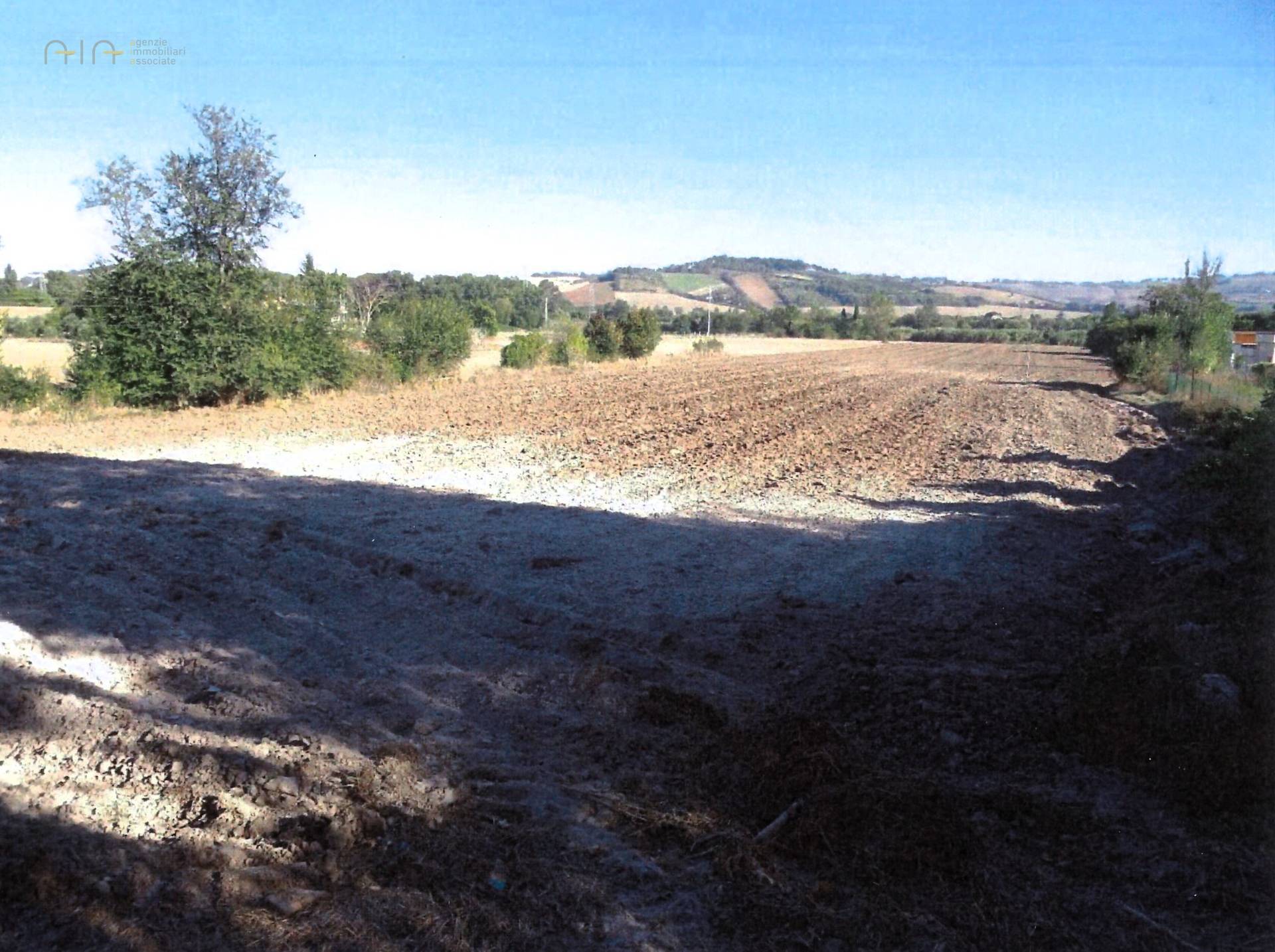 terreno agricolo in vendita a Jesi