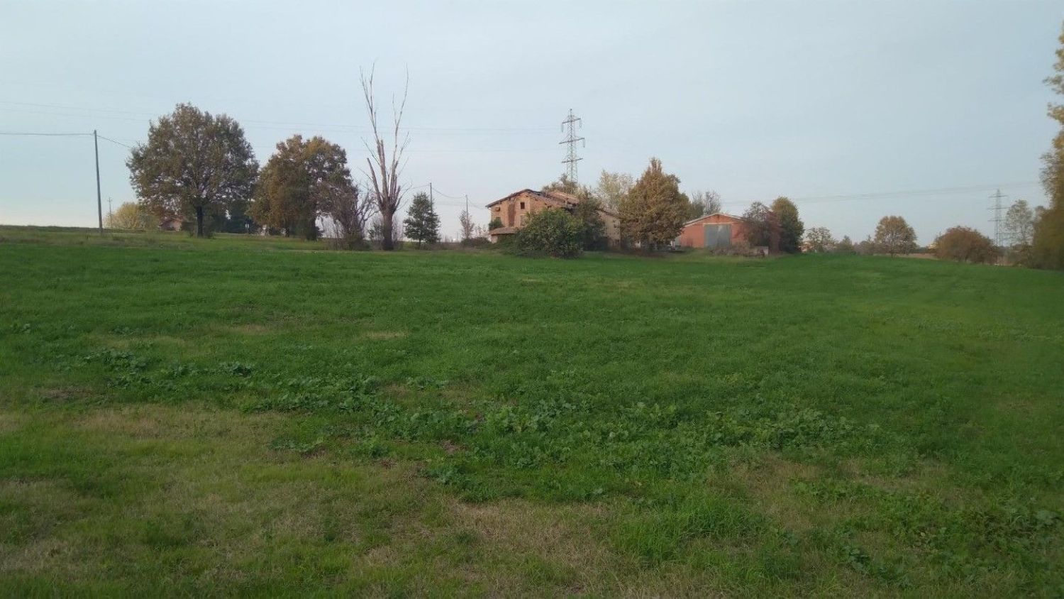 immagine annuncio 11 di 15
