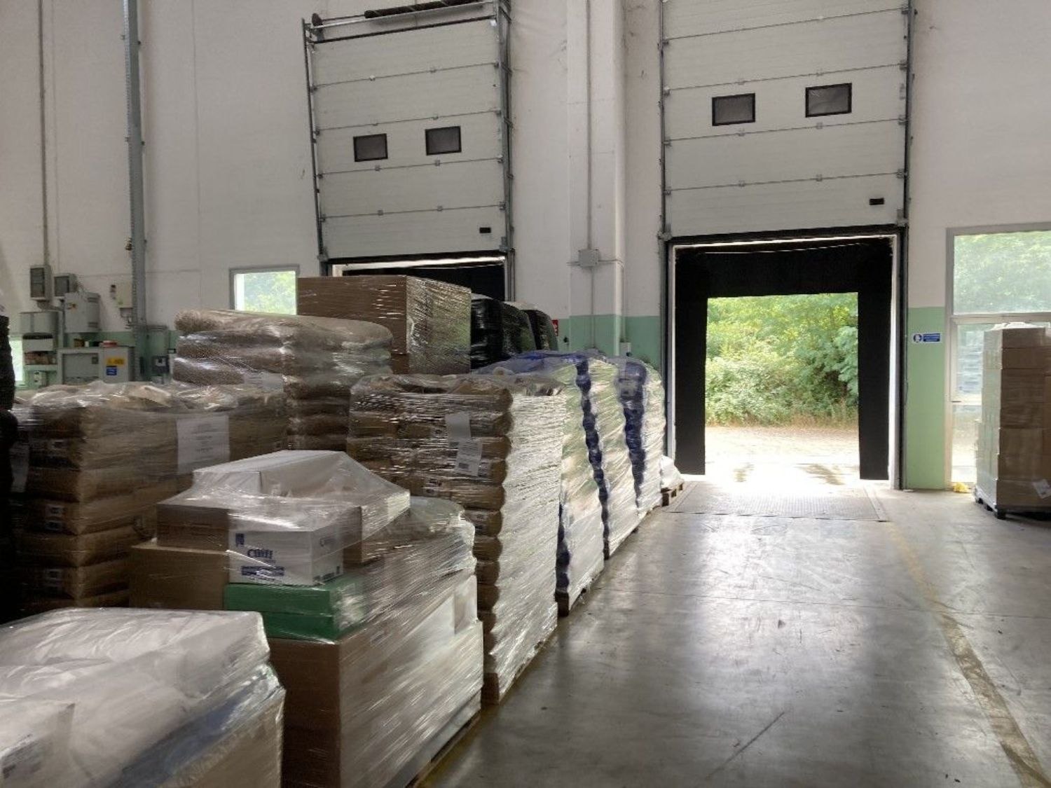 immagine annuncio 5 di 12