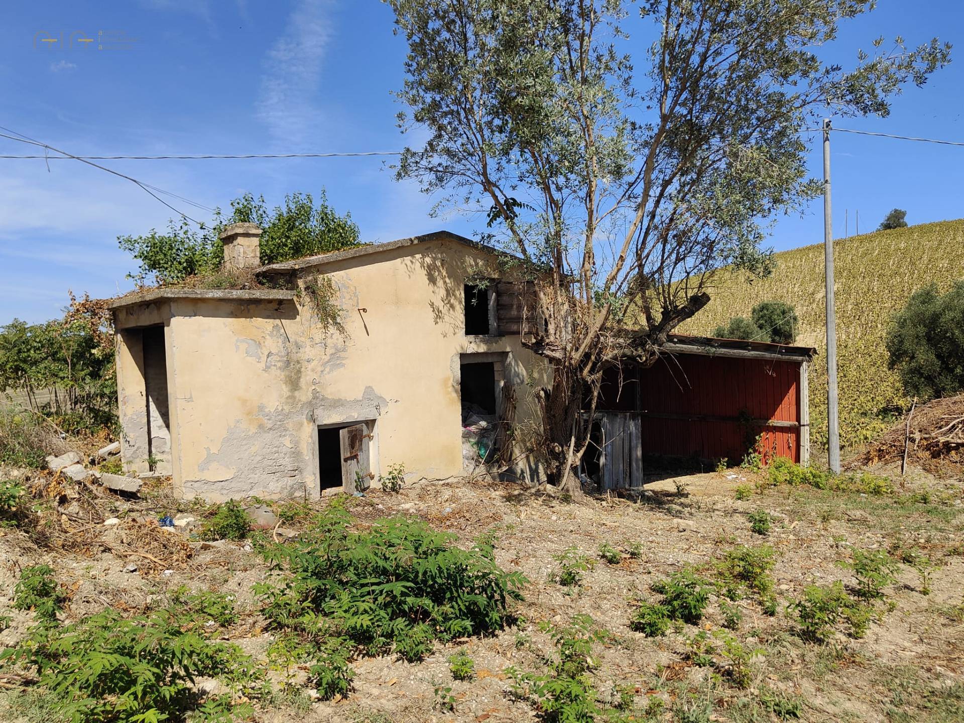 immagine annuncio 11 di 15