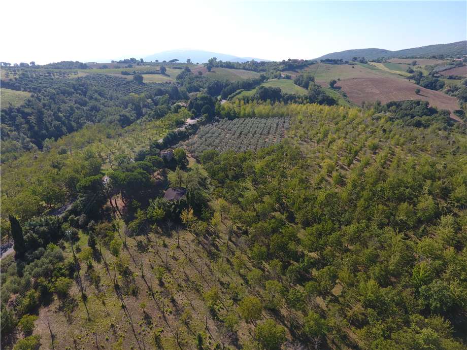 immagine annuncio 12 di 14