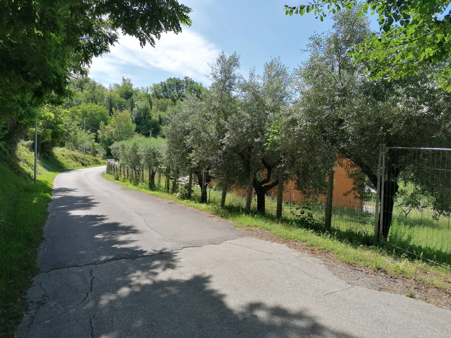 terreno edificabile in vendita a Torricella