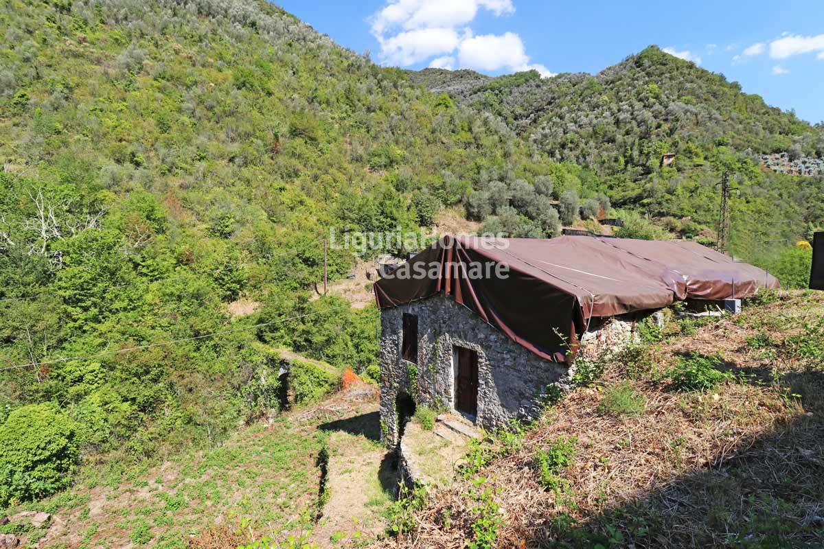 immagine annuncio 3 di 9