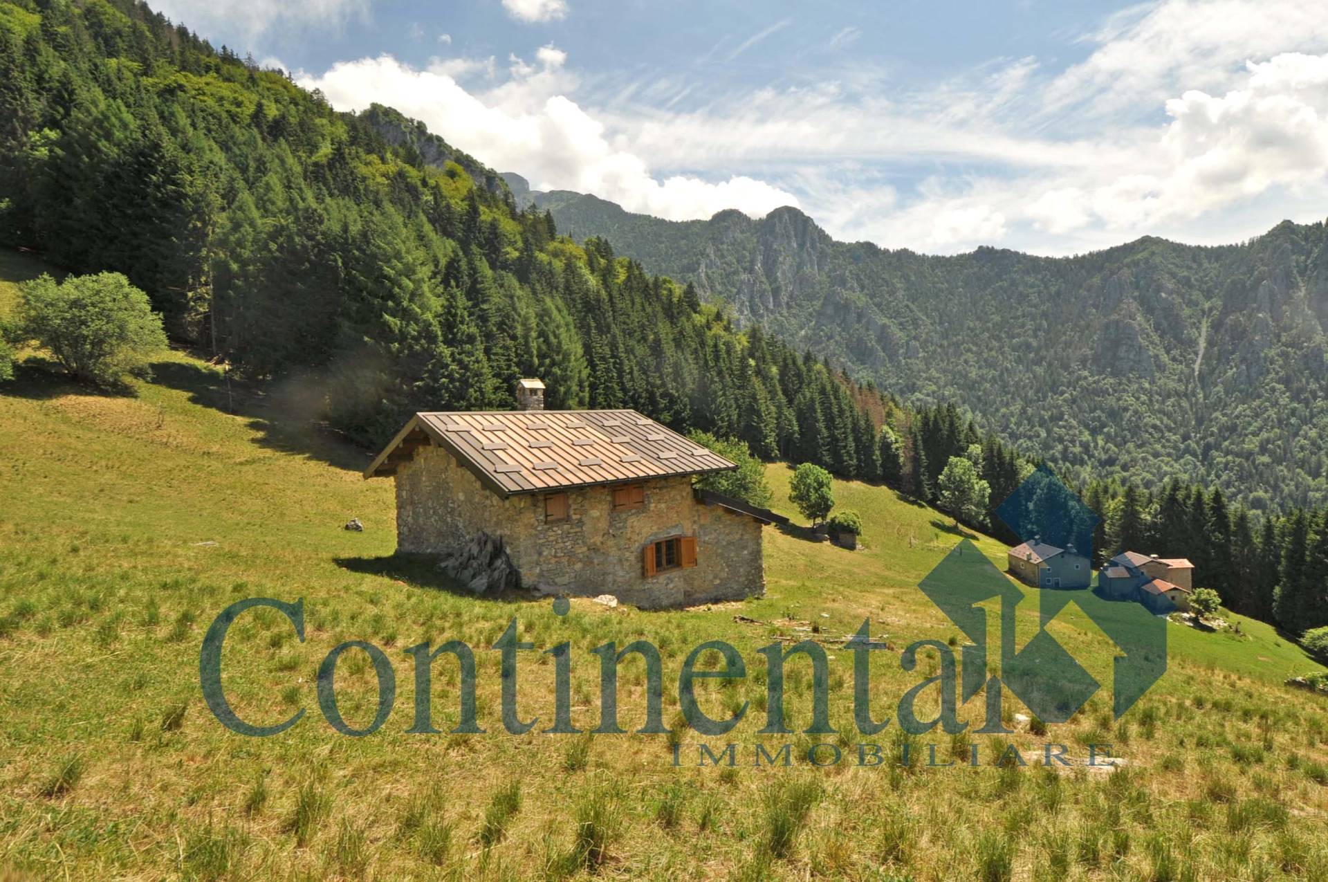 immagine annuncio 2 di 11