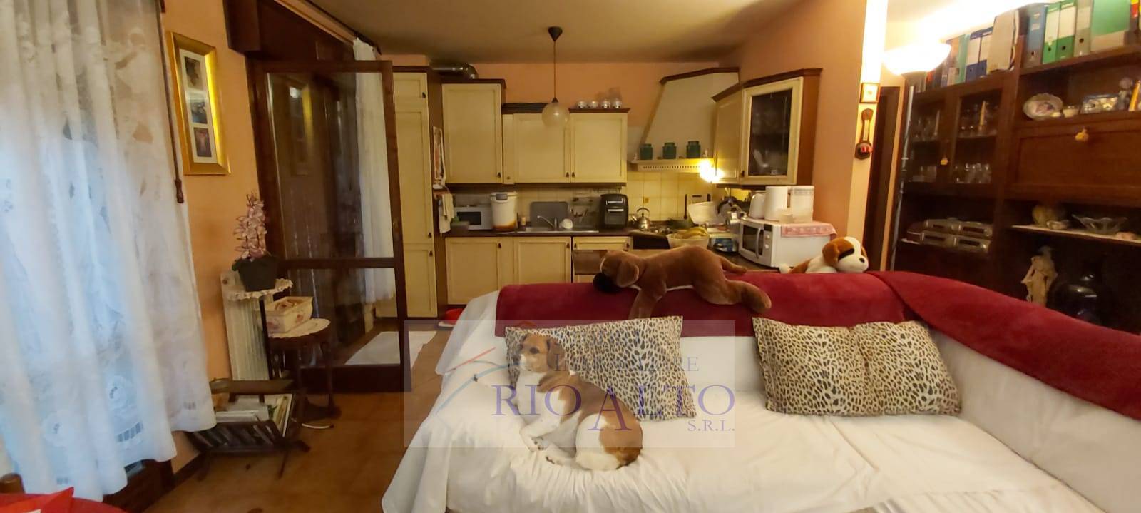 immagine annuncio 3 di 12