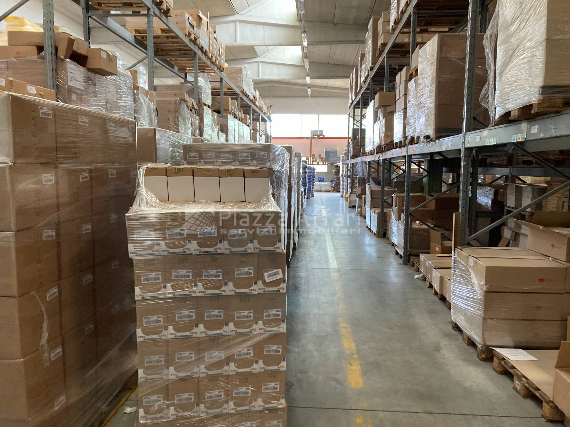 immagine annuncio 6 di 12