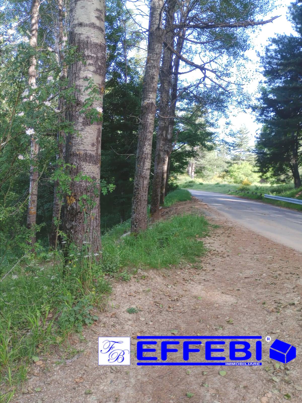 terreno agricolo in vendita a Caldarola in zona Croce