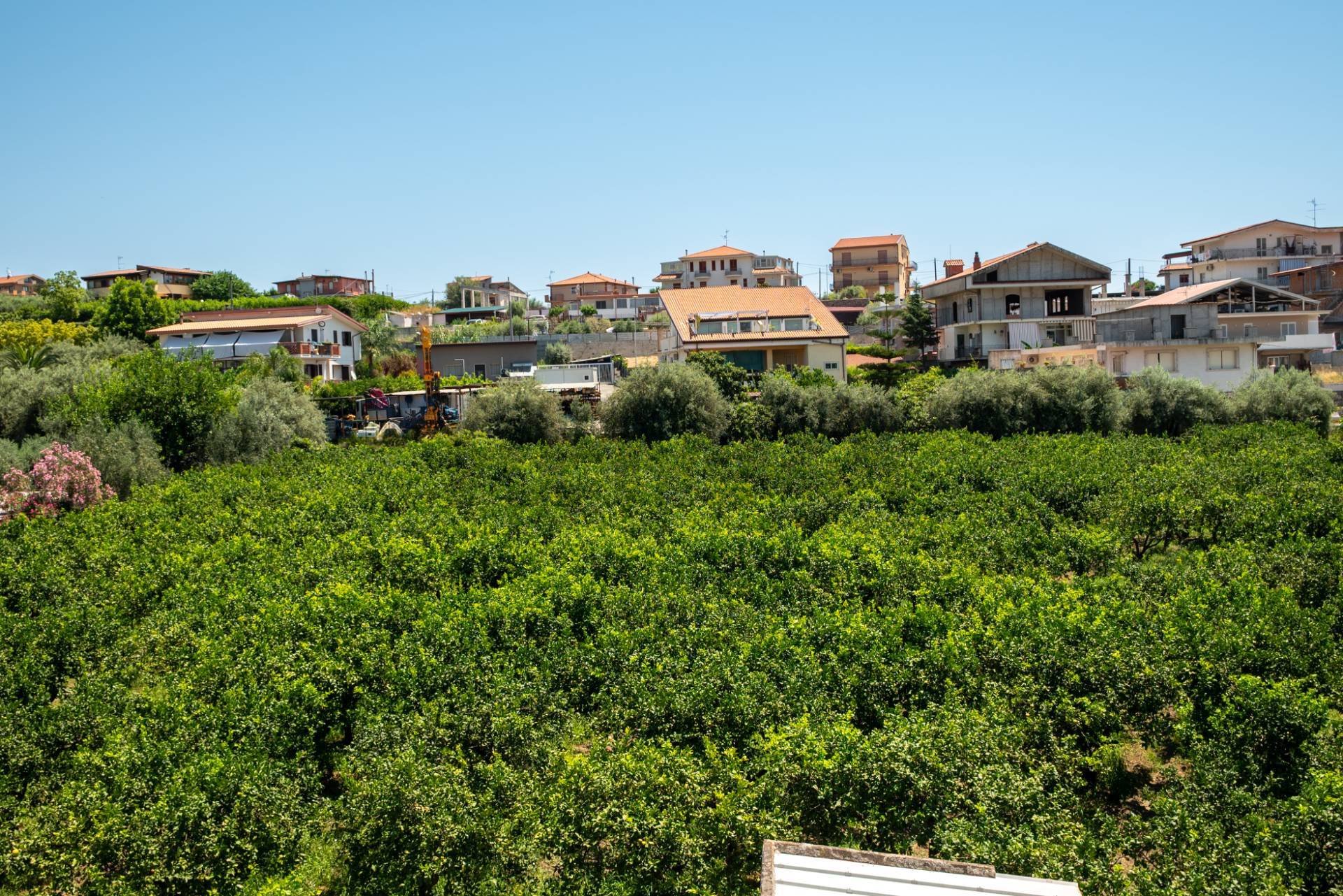terreno agricolo in vendita a Taormina in zona Trappitello