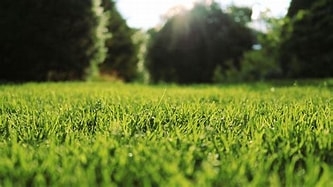 terreno agricolo in vendita a Melzo