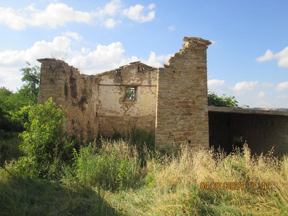 immagine annuncio 3 di 14