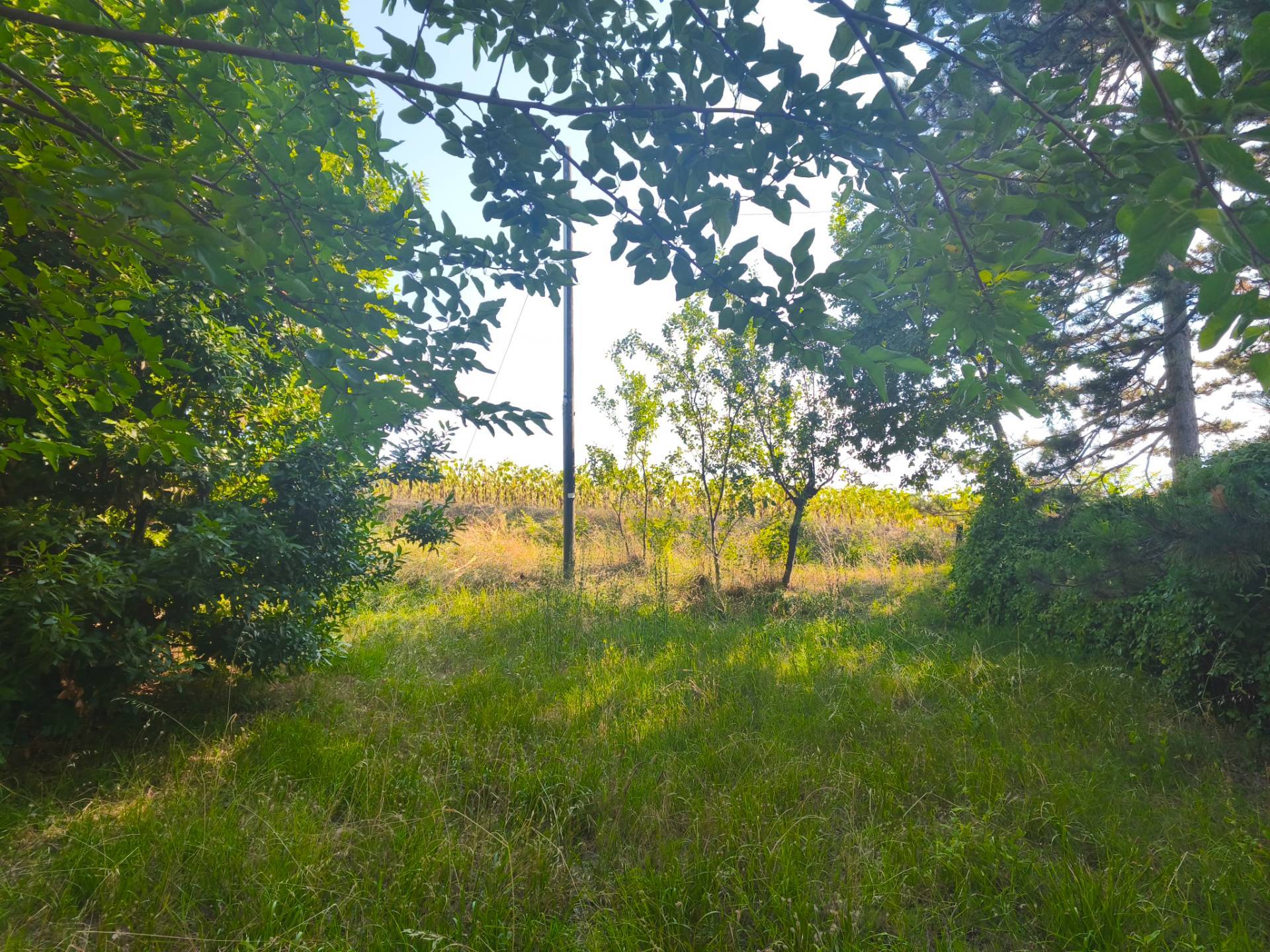 immagine annuncio 7 di 13