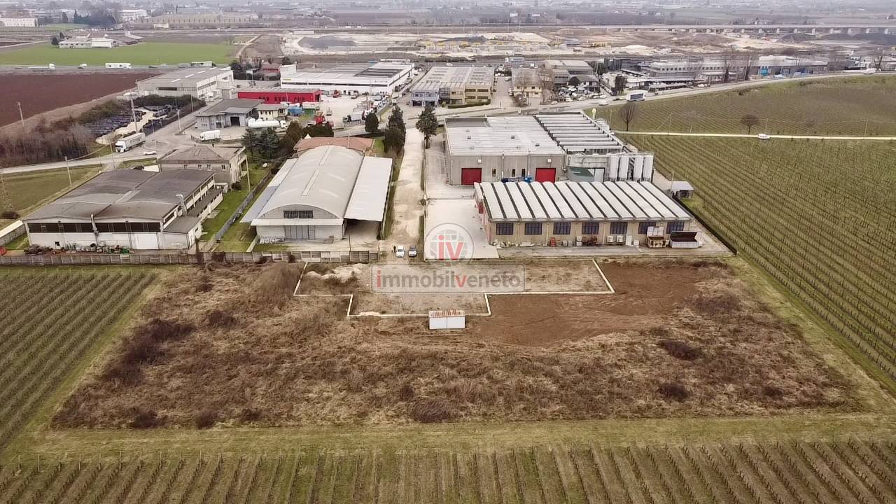 immagine annuncio 4 di 8