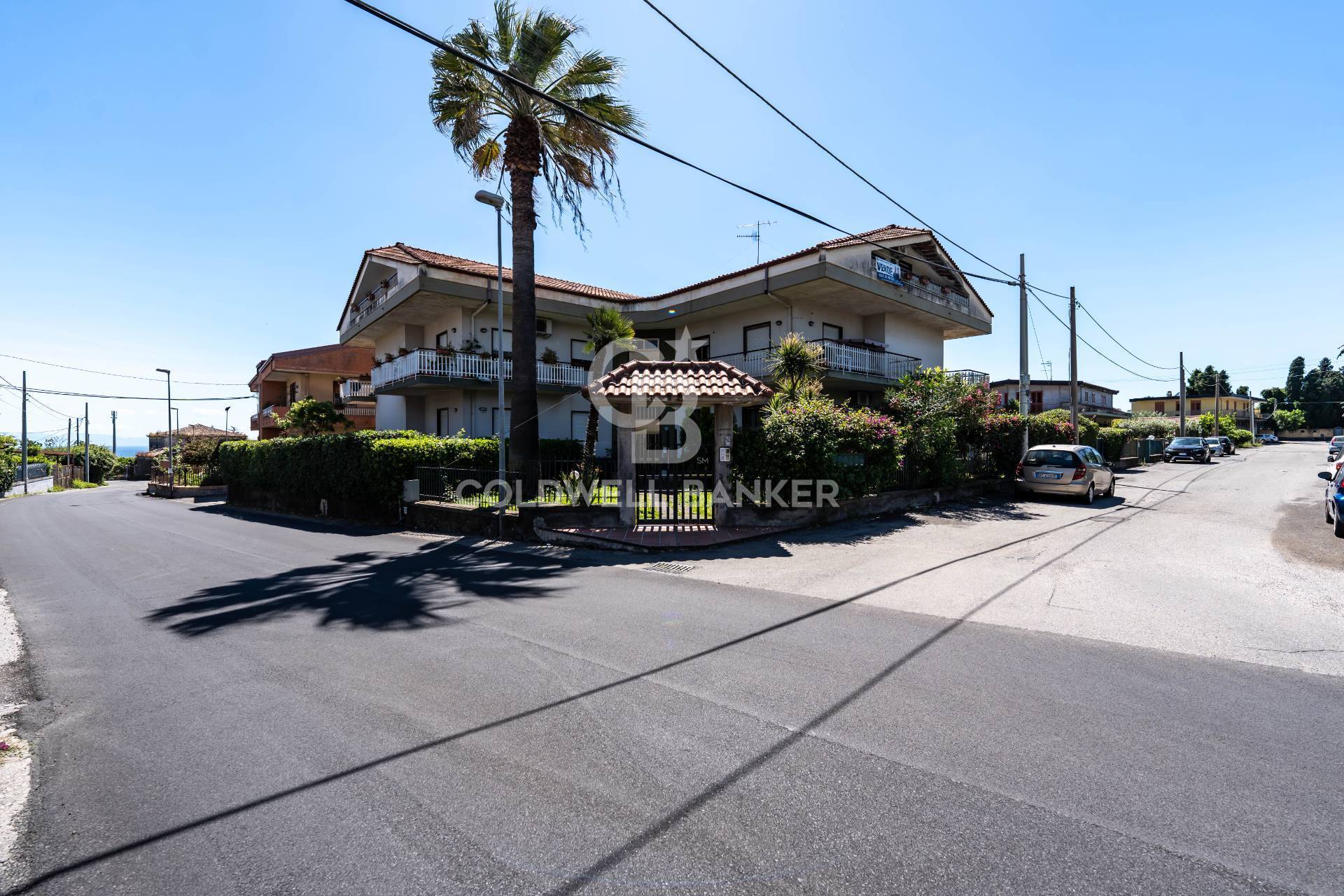 immagine annuncio 12 di 14