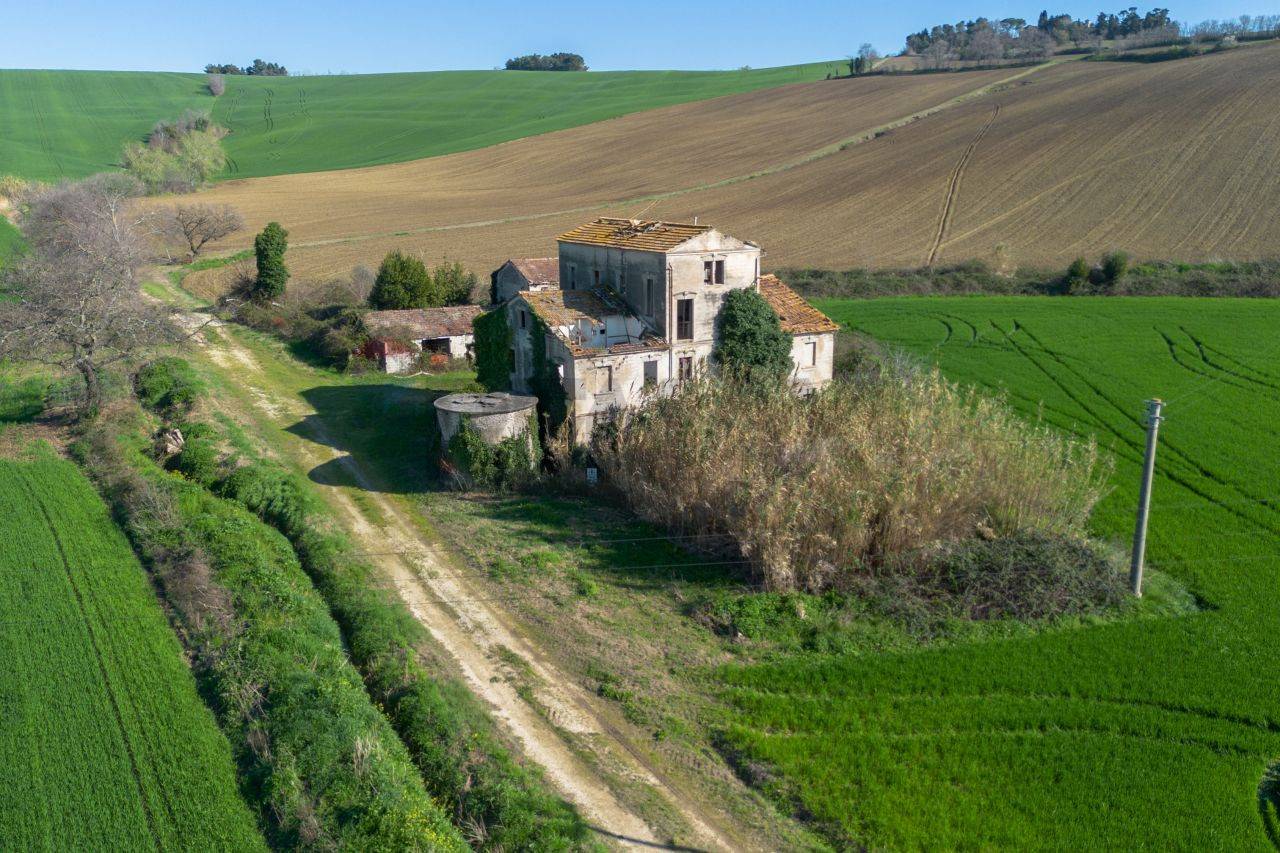 immagine annuncio 6 di 12