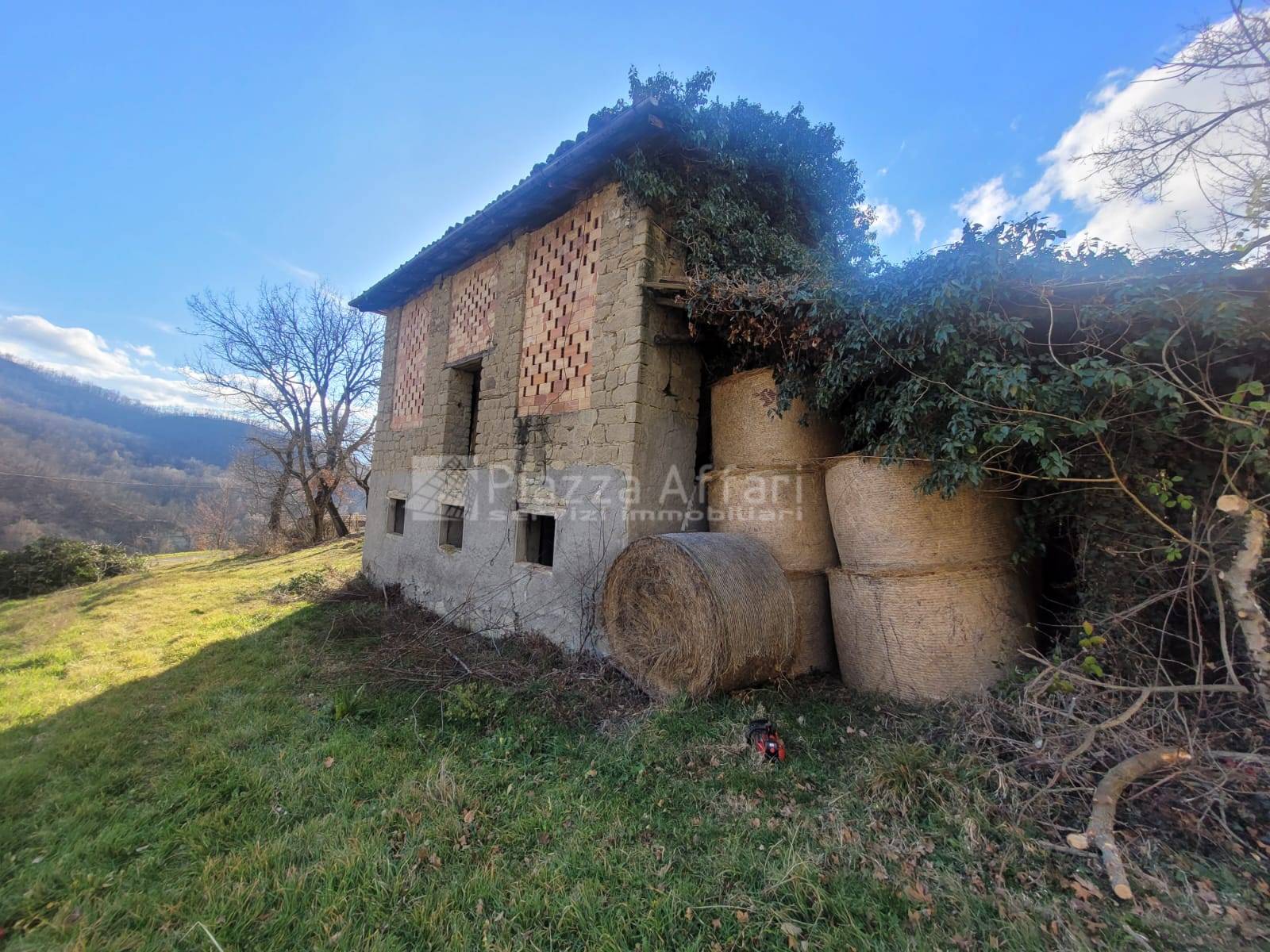 immagine annuncio 2 di 12