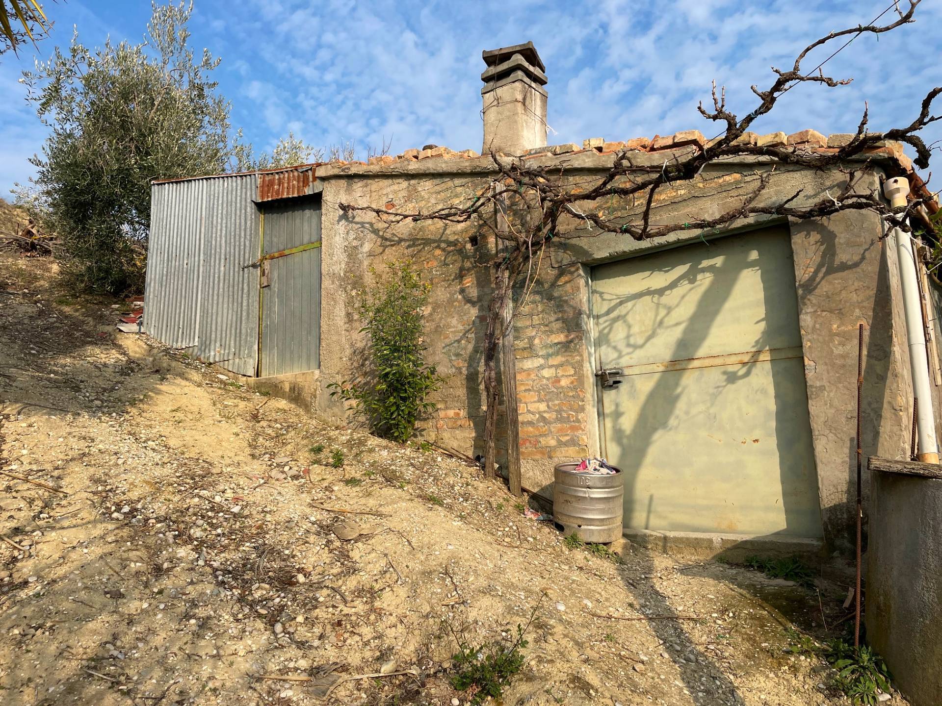 immagine annuncio 4 di 9