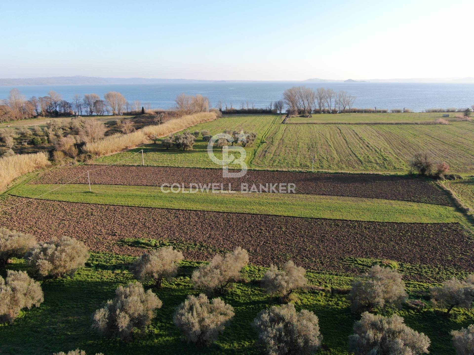 terreno agricolo in vendita a Budoni in zona San Lorenzo