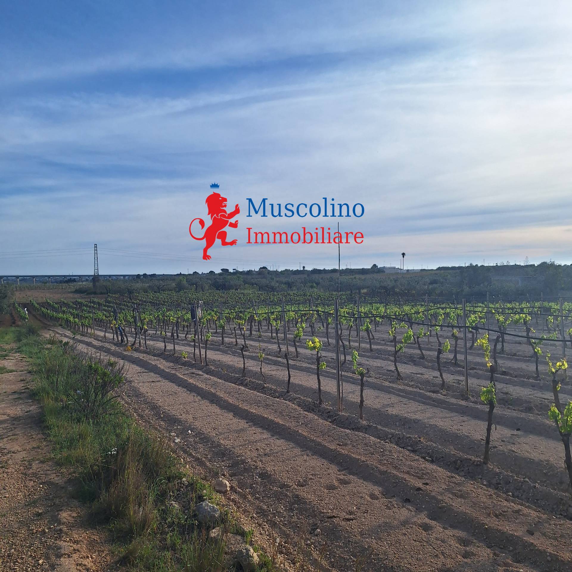 terreno agricolo in vendita a Mazara del Vallo