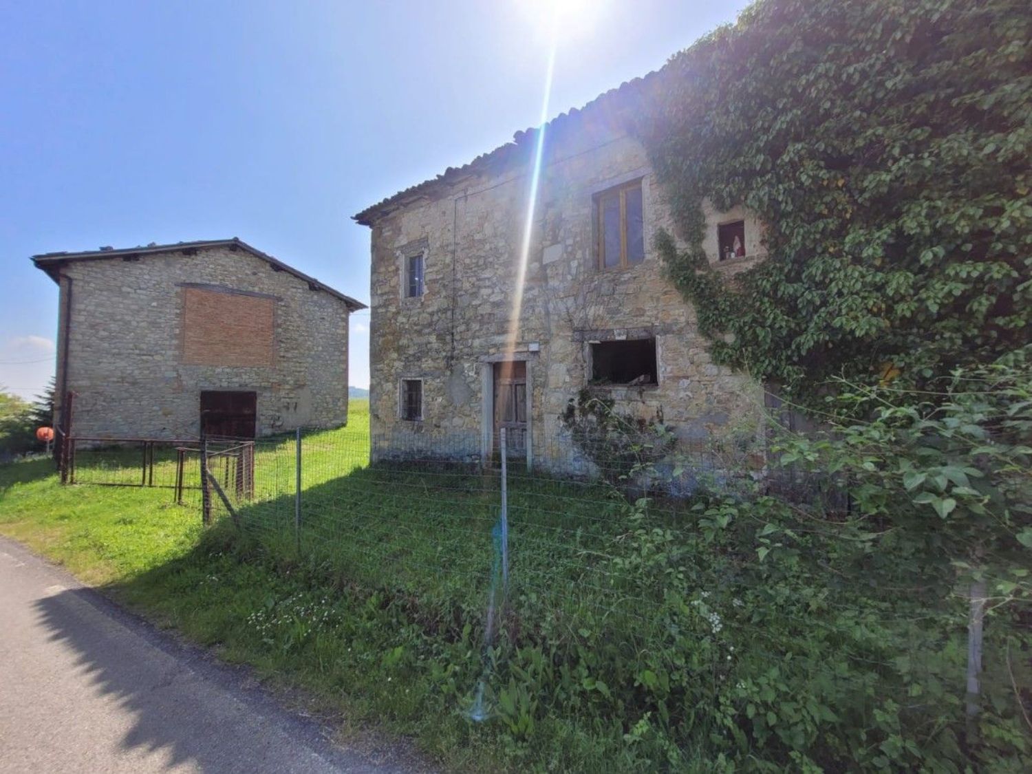 immagine annuncio 8 di 15