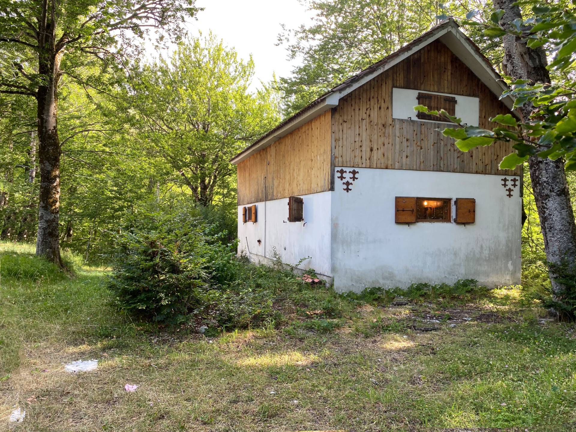 immagine annuncio 9 di 15