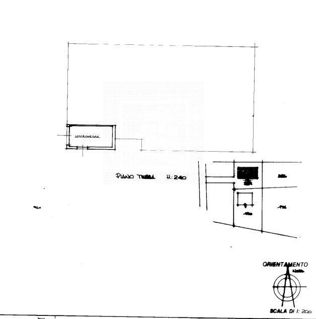 immagine annuncio 12 di 14