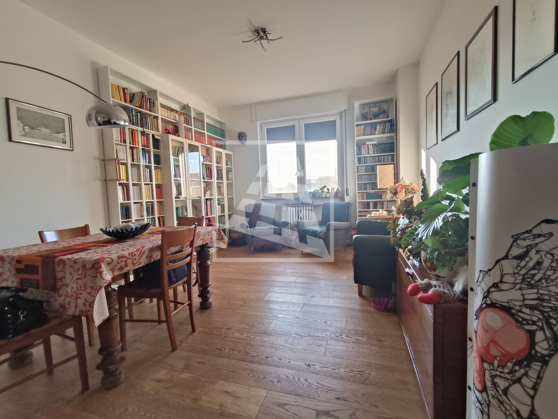 immagine annuncio 3 di 12