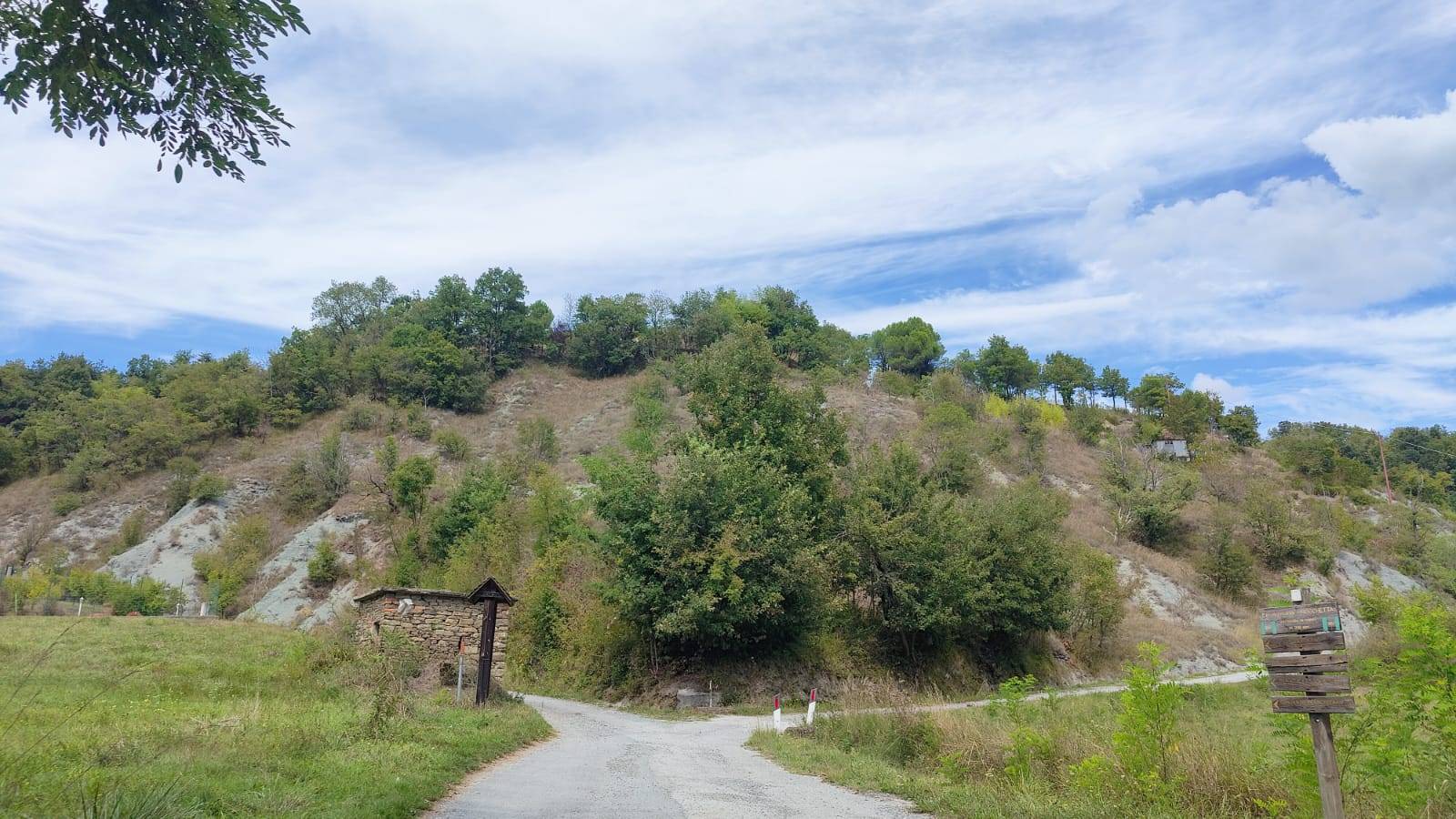 immagine annuncio 11 di 14