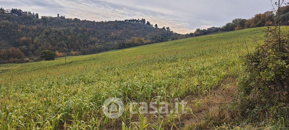 terreno agricolo in vendita a Trevi