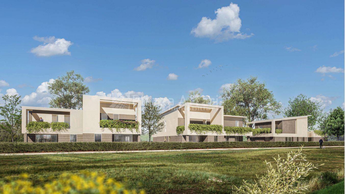 immagine annuncio 1 di 6