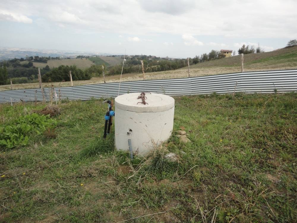 immagine annuncio 3 di 7