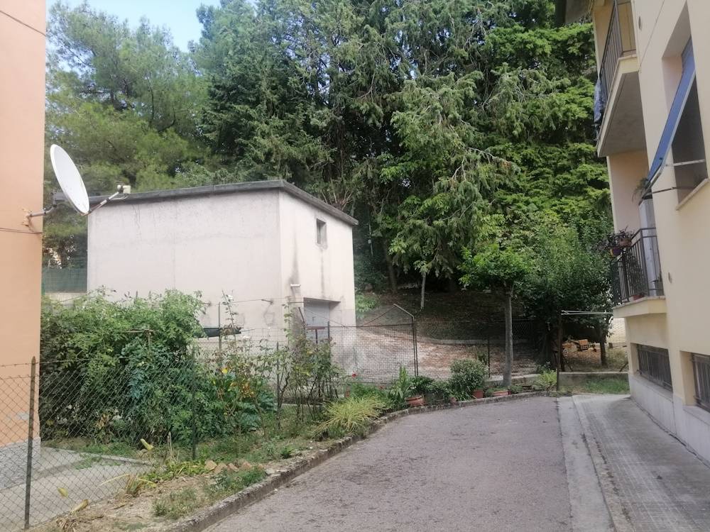 immagine annuncio 8 di 12