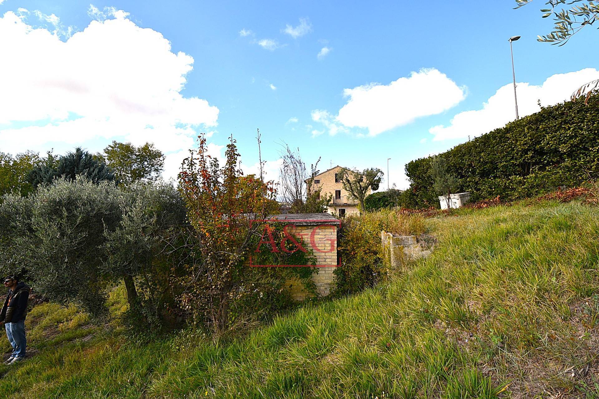 immagine annuncio 14 di 15