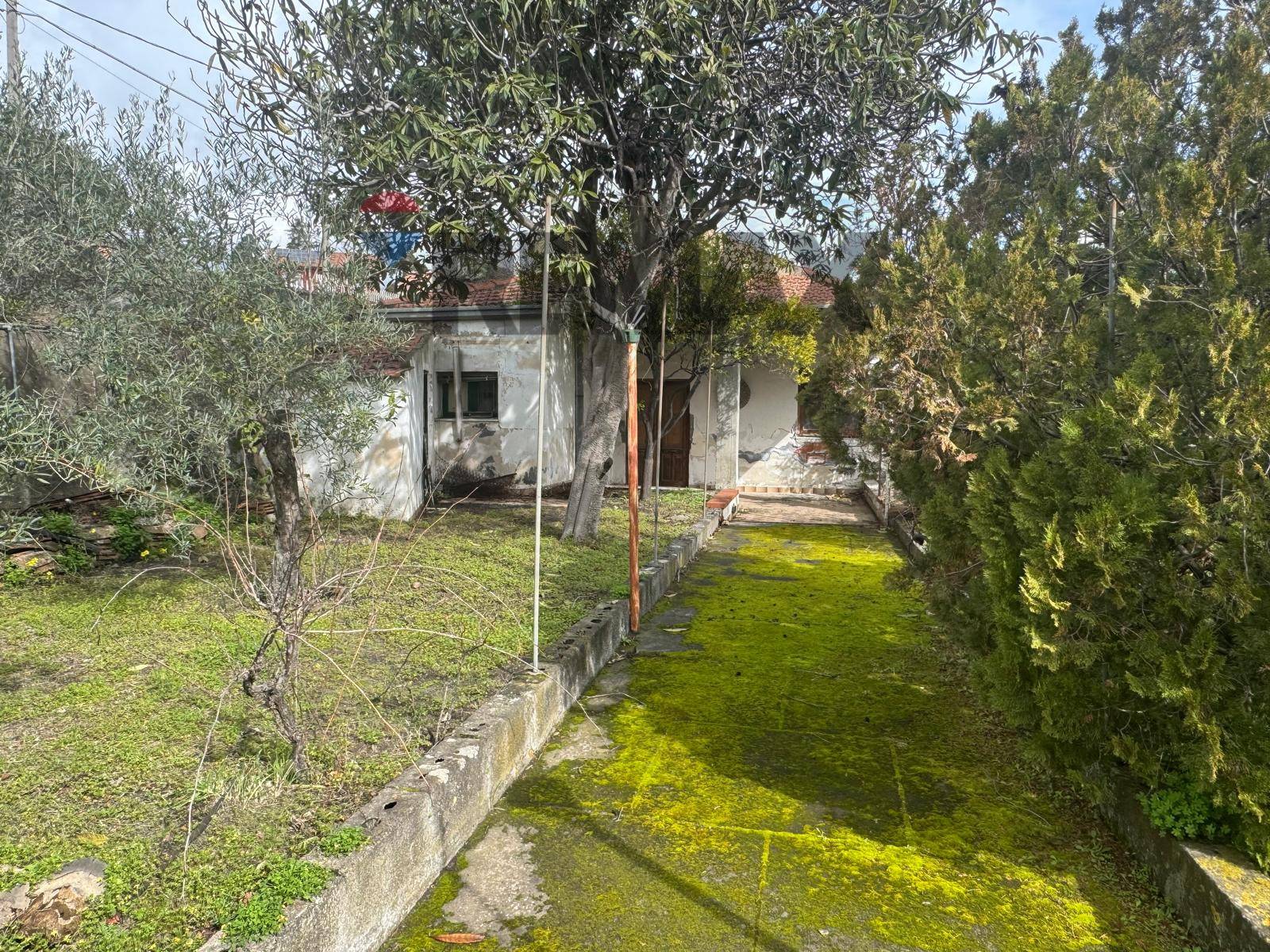 immagine annuncio 3 di 8