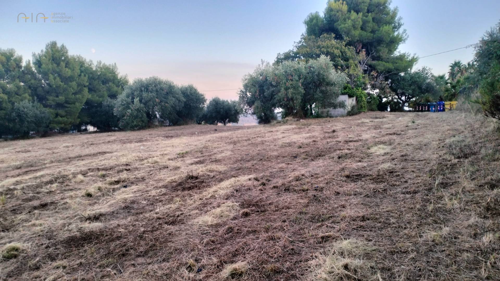 immagine annuncio 6 di 7