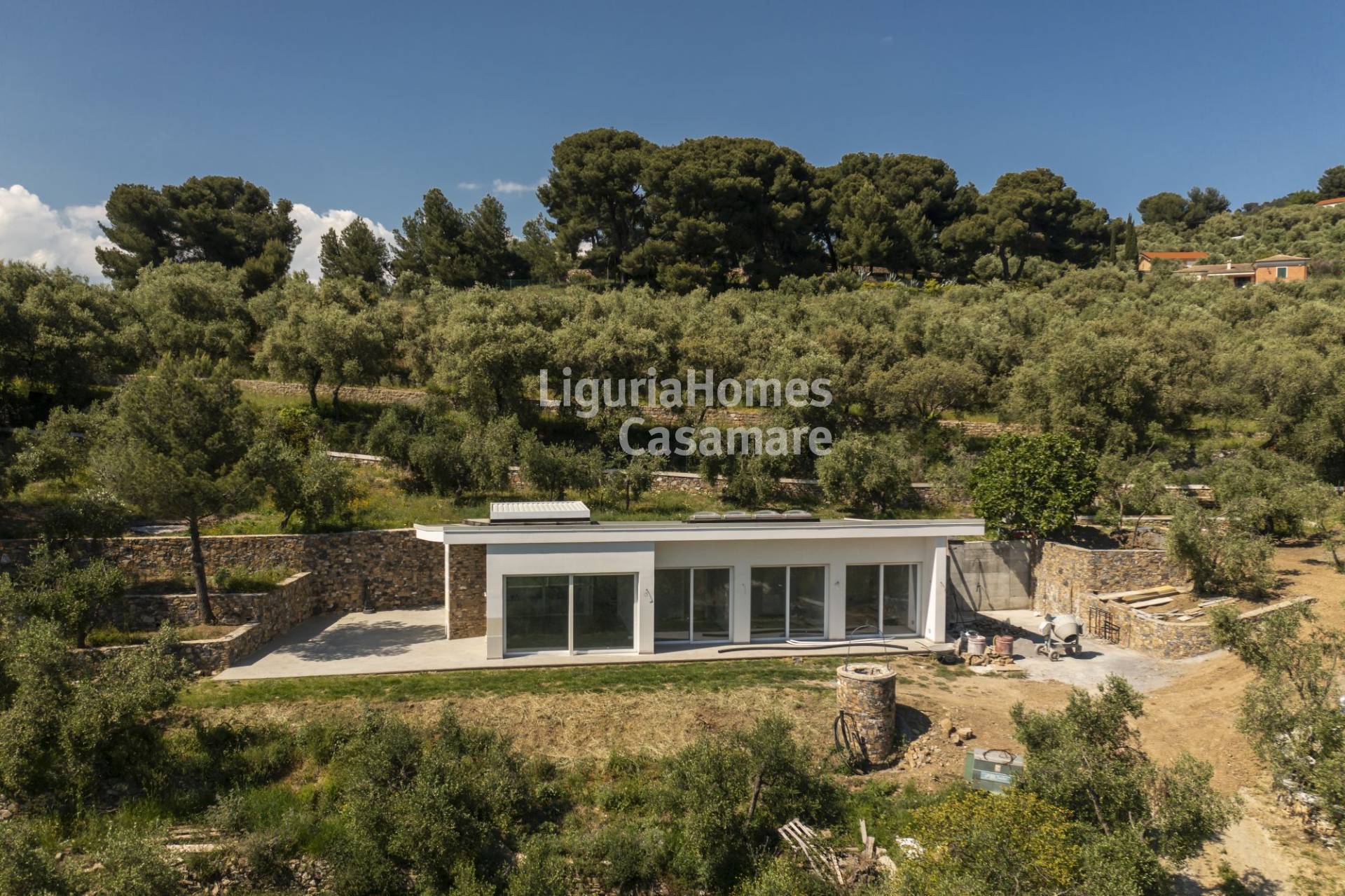 immagine annuncio 3 di 9