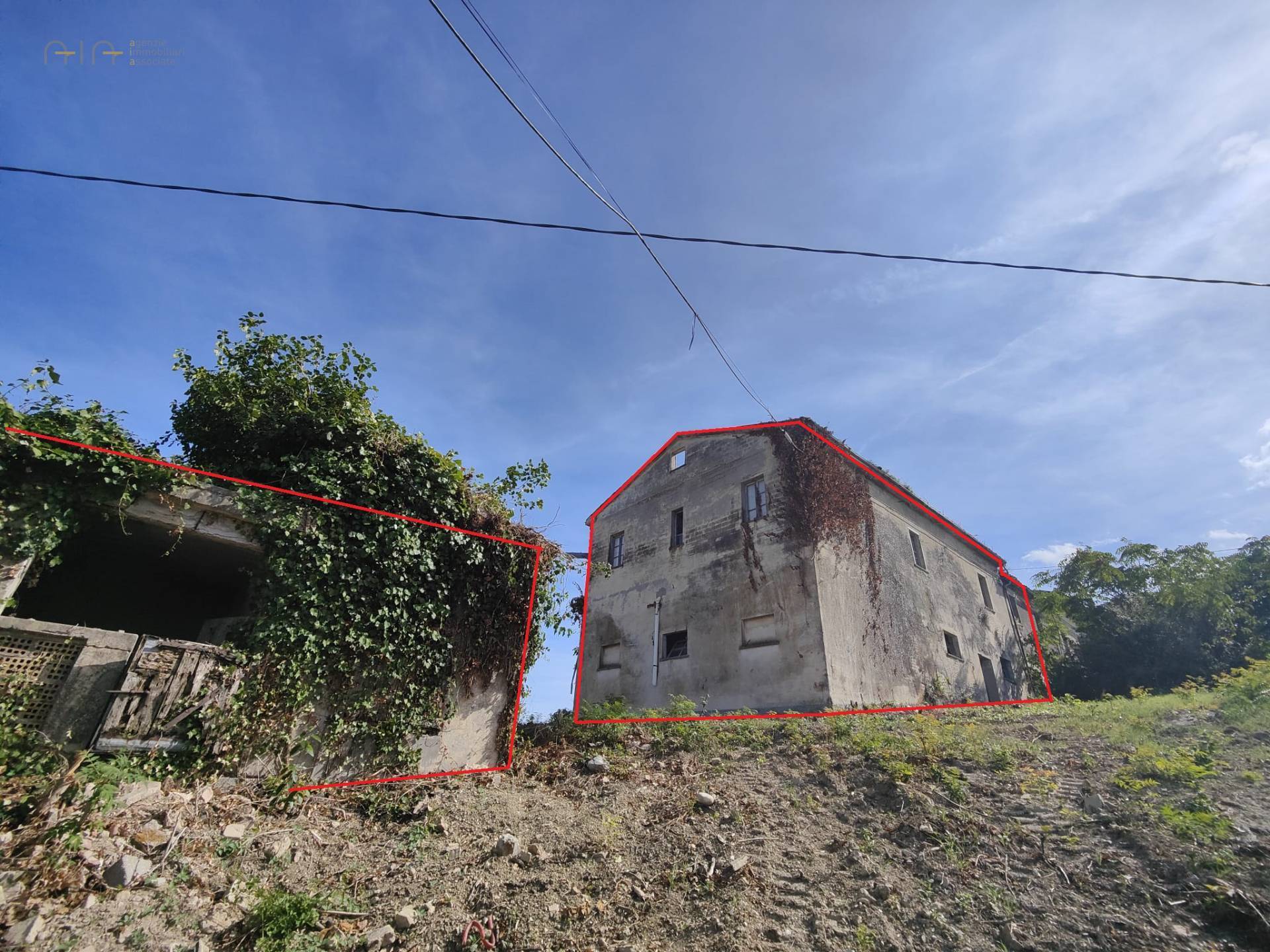 immagine annuncio 14 di 15