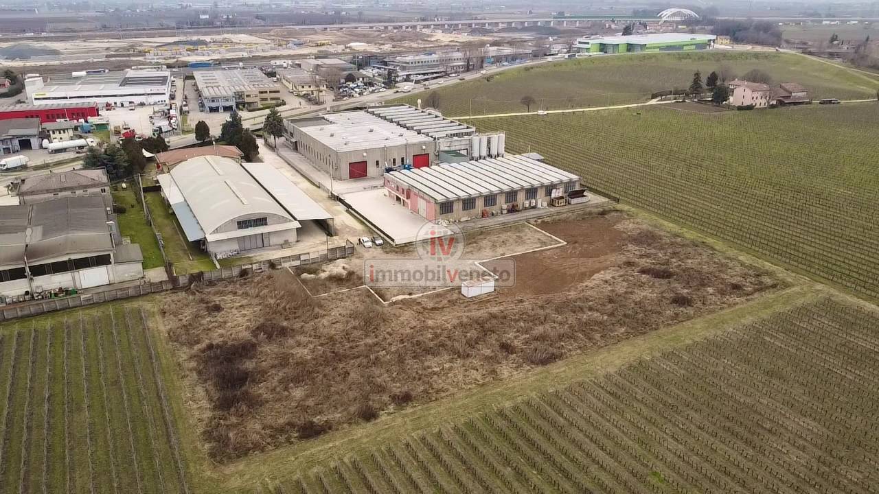 immagine annuncio 5 di 8