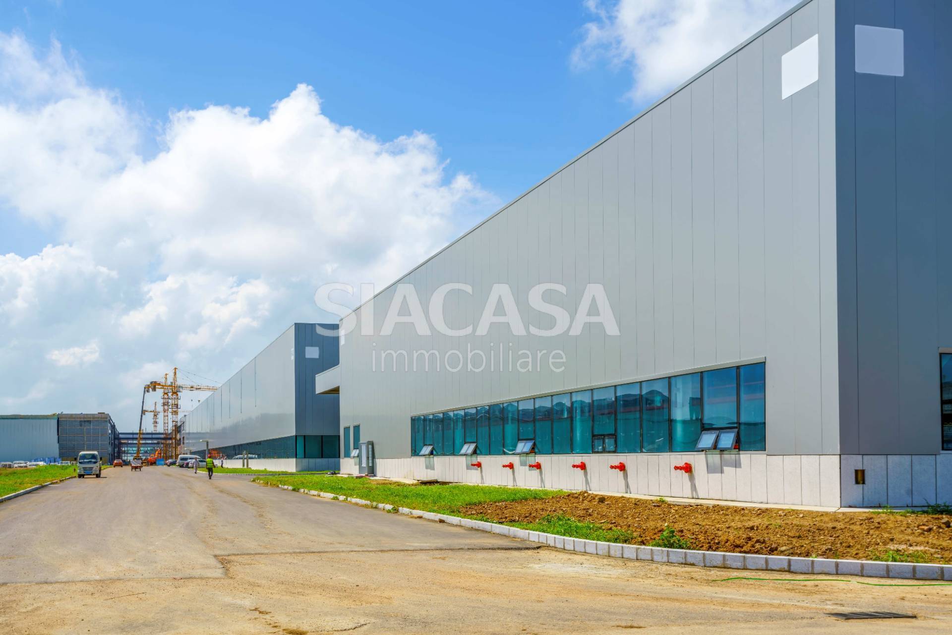 immagine annuncio 4 di 10