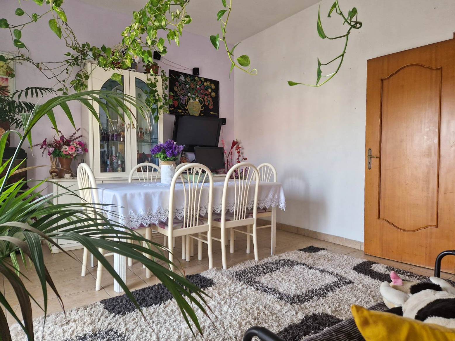 immagine annuncio 1 di 14