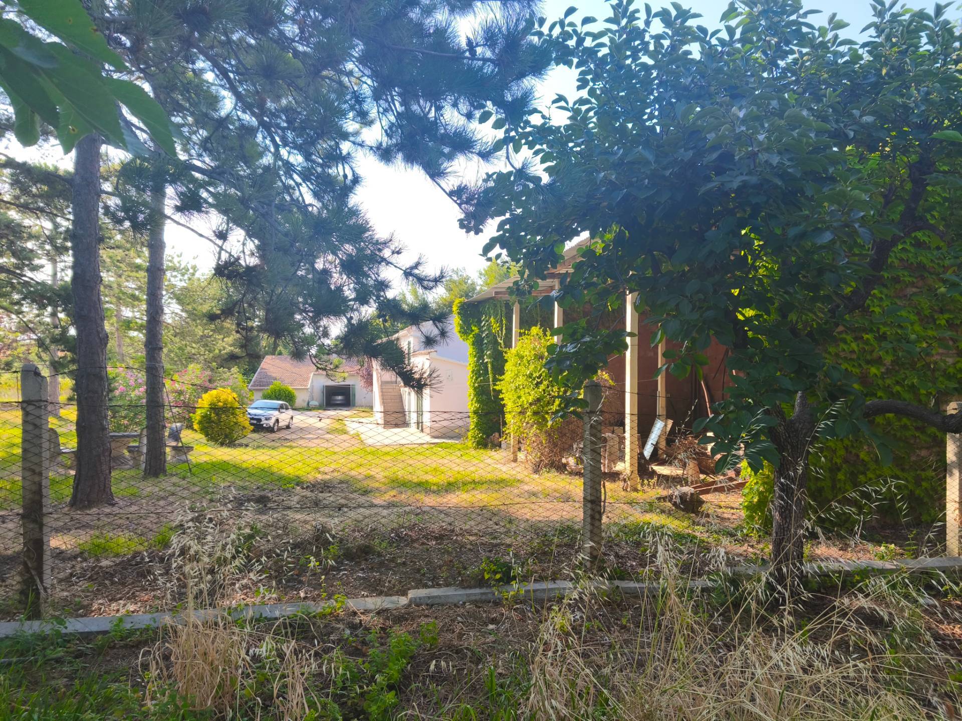 immagine annuncio 8 di 13