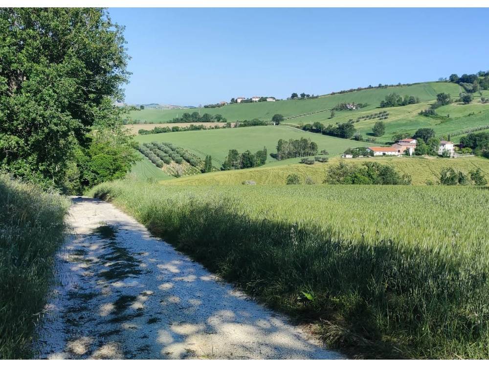 immagine annuncio 3 di 6