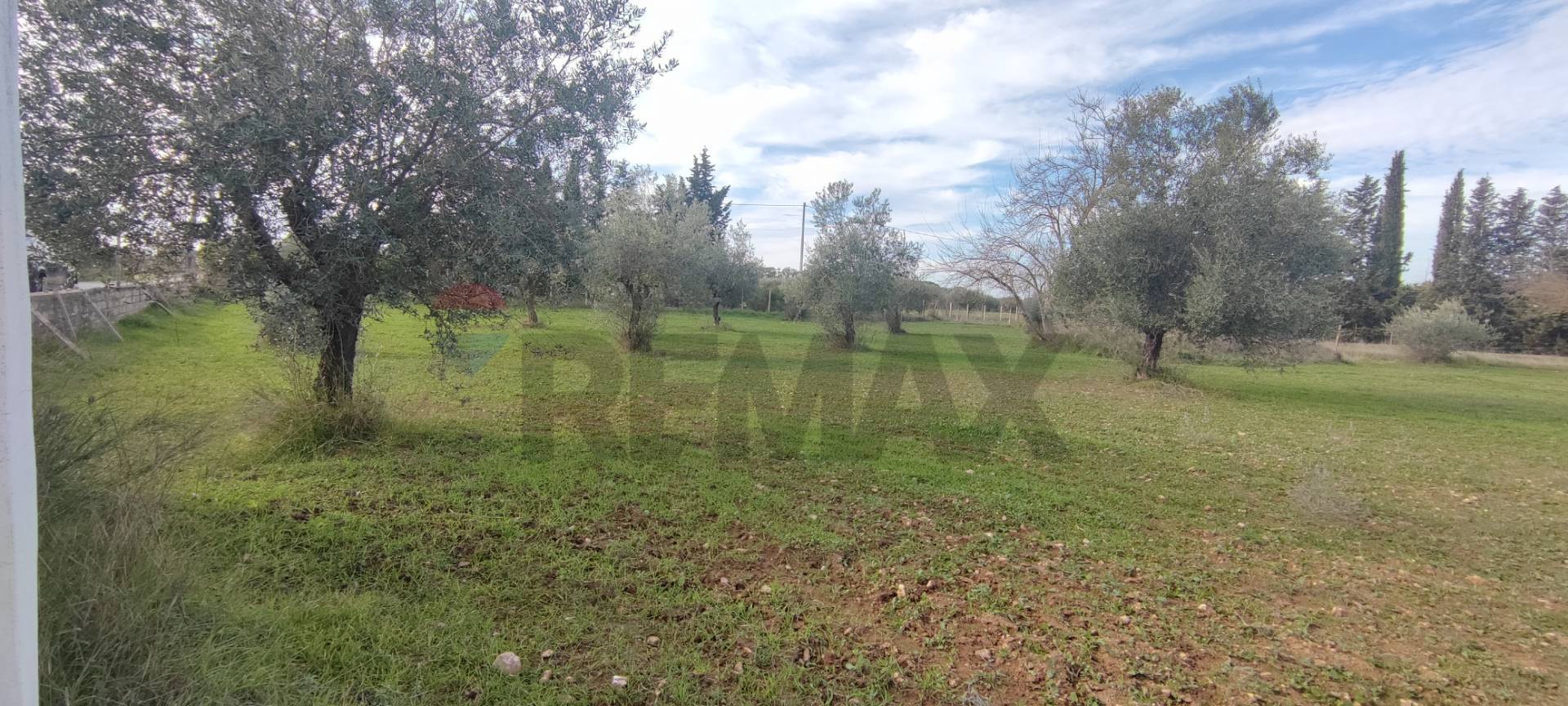 immagine annuncio 10 di 14