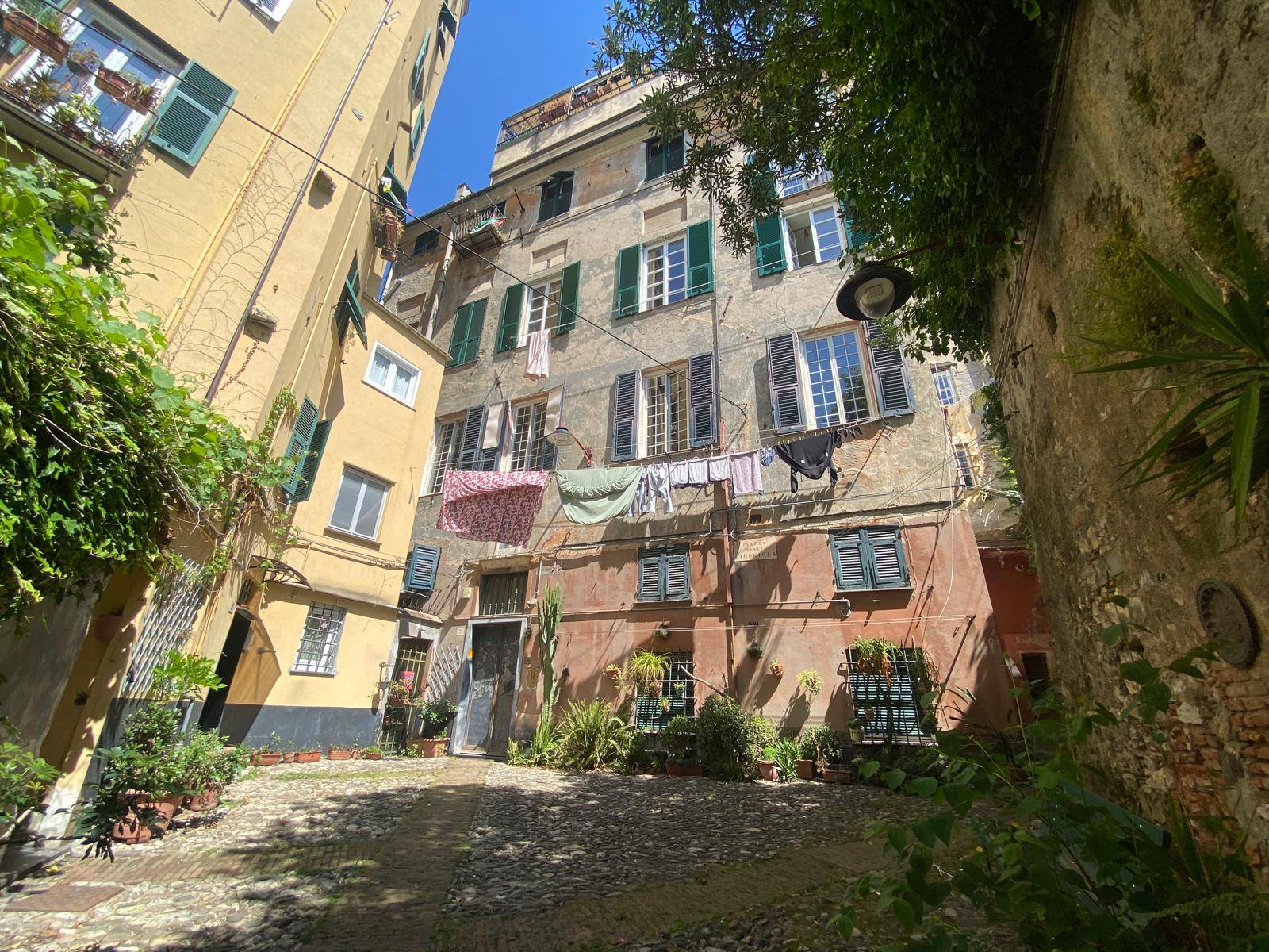 appartamento in affitto a Genova