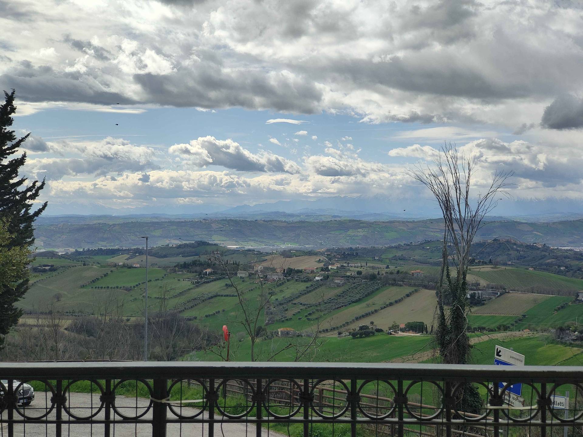 immagine annuncio 11 di 15