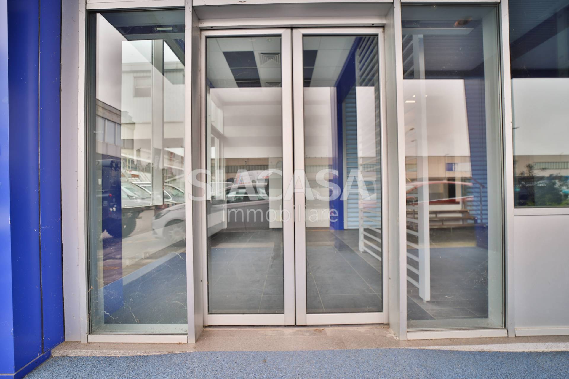 immagine annuncio 11 di 14