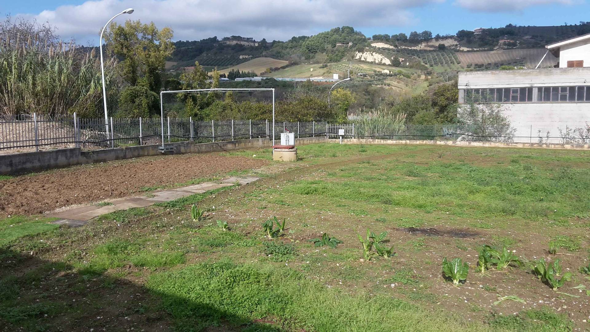 immagine annuncio 1 di 7