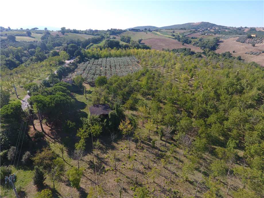 immagine annuncio 11 di 14