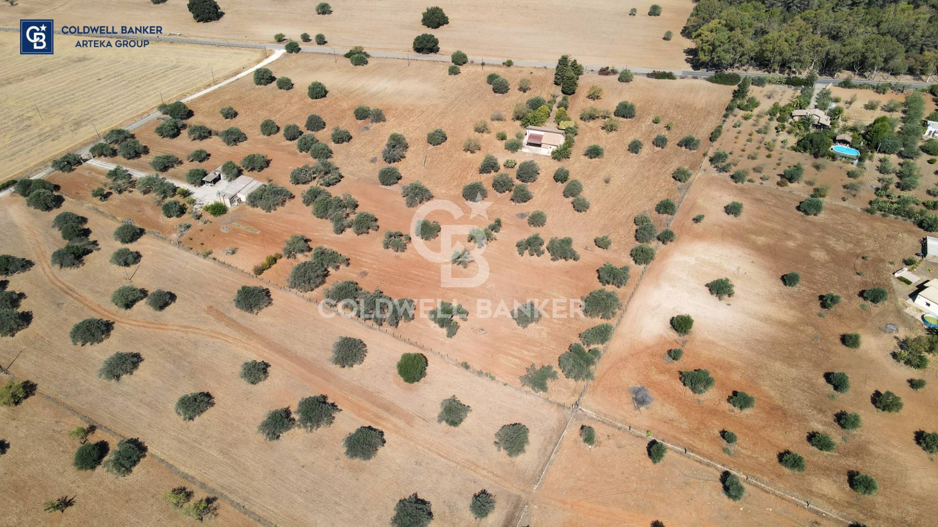 terreno agricolo in vendita a Caltagirone