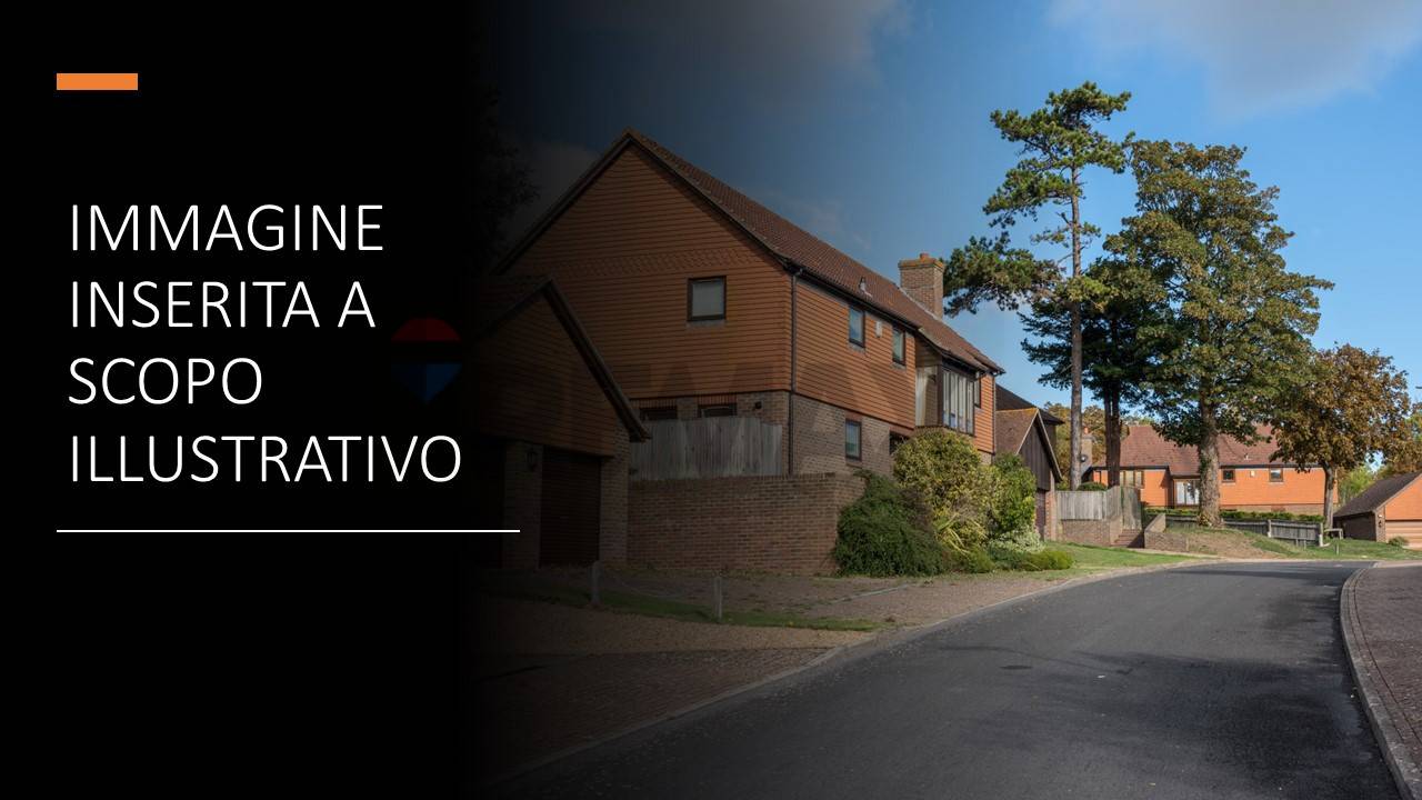 immagine annuncio 2 di 12