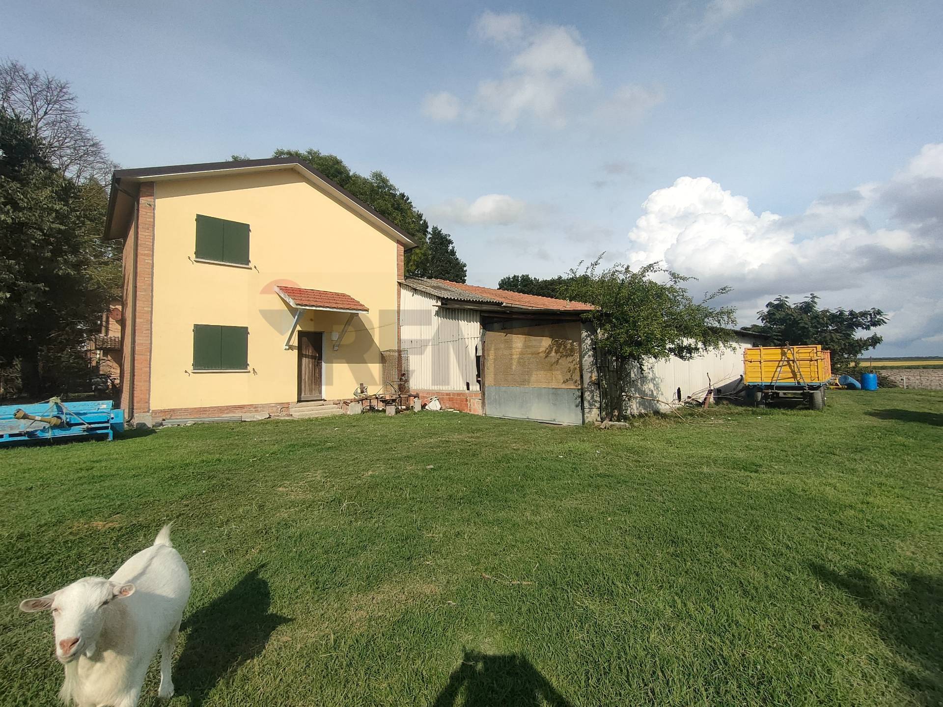 immagine annuncio 2 di 12